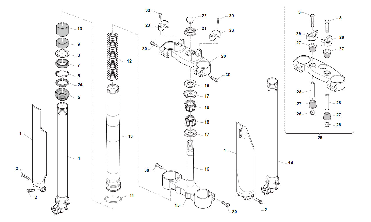 4T 450 FI EN 2019 - BASTIDOR - SUSPENSION DELANTERA
